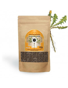 Dandelion root 100 g