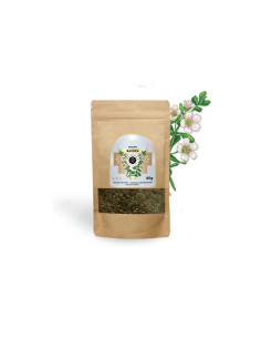 Bacopa - Brahmi 80 g